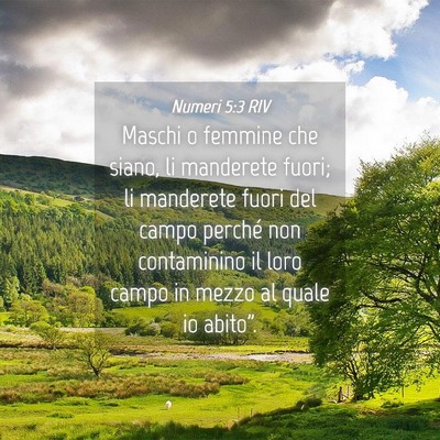 Picture 04 - Numeri 5:3 RIV - Maschi o femmine che siano, li manderete fuori; - Bible Verse Picture