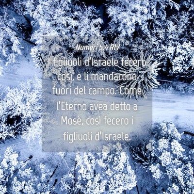 Picture 04 - Numeri 5:4 RIV - I figliuoli d’Israele fecero così, e li - Bible Verse Picture