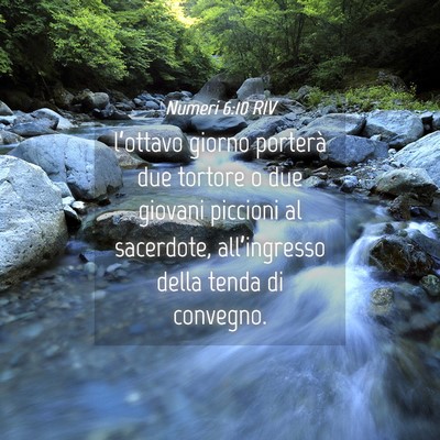 Picture 04 - Numeri 6:10 RIV - l’ottavo giorno porterà due tortore o due - Bible Verse Picture