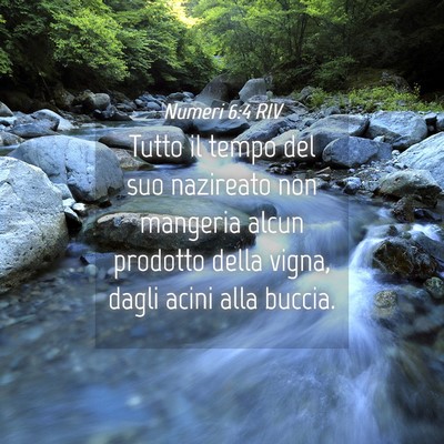 Picture 04 - Numeri 6:4 RIV - Tutto il tempo del suo nazireato non mangeria - Bible Verse Picture