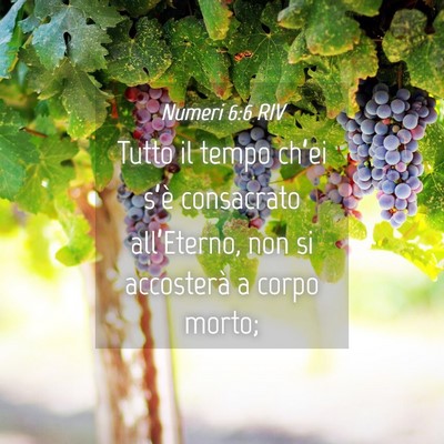 Picture 04 - Numeri 6:6 RIV - Tutto il tempo ch’ei s’è consacrato - Bible Verse Picture