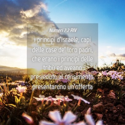 Picture 04 - Numeri 7:2 RIV - i principi d’Israele, capi delle case de’ - Bible Verse Picture