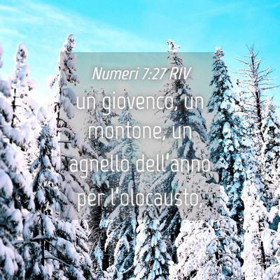 Picture 04 - Numeri 7:27 RIV - un giovenco, un montone, un agnello dell’anno - Bible Verse Picture