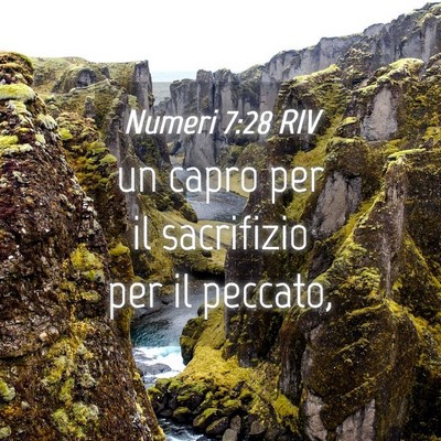 Picture 04 - Numeri 7:28 RIV - un capro per il sacrifizio per il - Bible Verse Picture