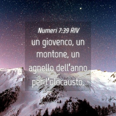 Picture 04 - Numeri 7:39 RIV - un giovenco, un montone, un agnello dell’anno - Bible Verse Picture