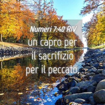 Picture 04 - Numeri 7:40 RIV - un capro per il sacrifizio per il - Bible Verse Picture