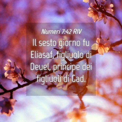 Picture 04 - Numeri 7:42 RIV - Il sesto giorno fu Eliasaf, figliuolo di Deuel, - Bible Verse Picture