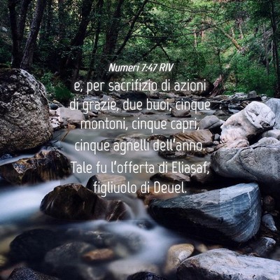 Picture 04 - Numeri 7:47 RIV - e, per sacrifizio di azioni di grazie, due buoi, - Bible Verse Picture