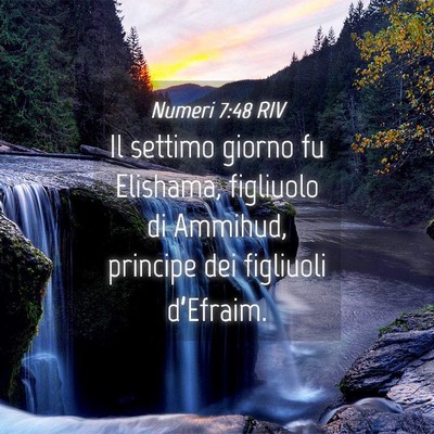 Picture 04 - Numeri 7:48 RIV - Il settimo giorno fu Elishama, figliuolo di - Bible Verse Picture