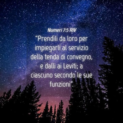 Picture 04 - Numeri 7:5 RIV - “Prendili da loro per impiegarli al servizio - Bible Verse Picture