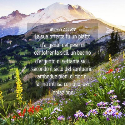 Picture 04 - Numeri 7:55 RIV - La sua offerta fu un piatto d’argento del peso - Bible Verse Picture