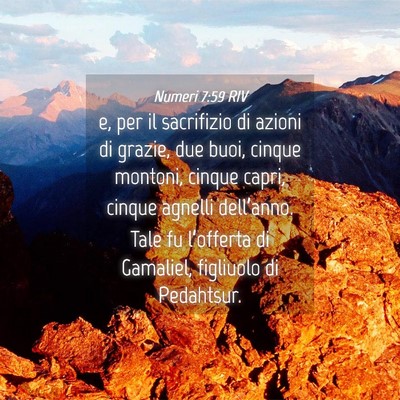 Picture 04 - Numeri 7:59 RIV - e, per il sacrifizio di azioni di grazie, due - Bible Verse Picture