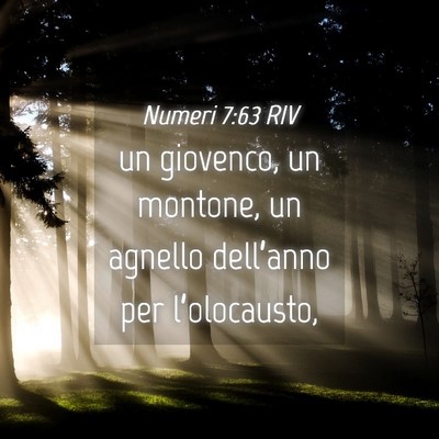 Picture 04 - Numeri 7:63 RIV - un giovenco, un montone, un agnello dell’anno - Bible Verse Picture