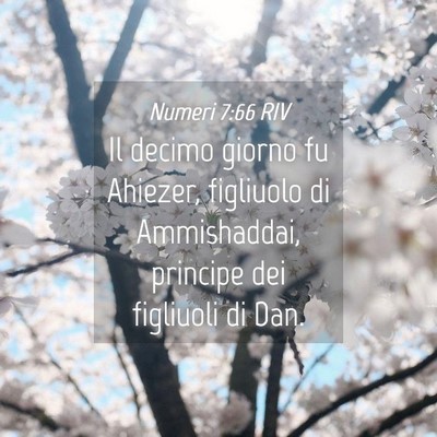Picture 04 - Numeri 7:66 RIV - Il decimo giorno fu Ahiezer, figliuolo di - Bible Verse Picture