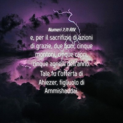 Picture 04 - Numeri 7:71 RIV - e, per il sacrifizio di azioni di grazie, due - Bible Verse Picture