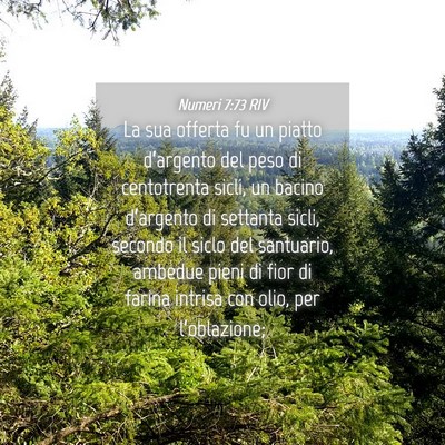 Picture 04 - Numeri 7:73 RIV - La sua offerta fu un piatto d’argento del peso - Bible Verse Picture