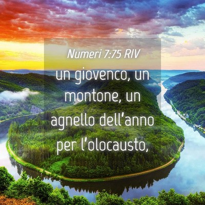 Picture 04 - Numeri 7:75 RIV - un giovenco, un montone, un agnello dell’anno - Bible Verse Picture