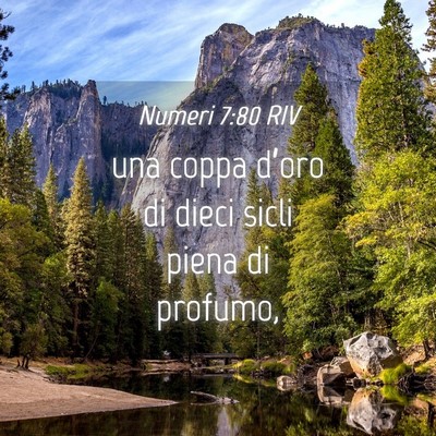 Picture 04 - Numeri 7:80 RIV - una coppa d’oro di dieci sicli piena di - Bible Verse Picture