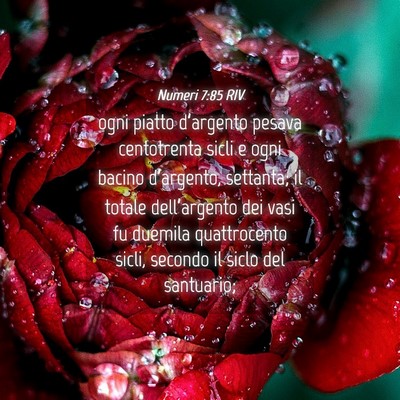Picture 04 - Numeri 7:85 RIV - ogni piatto d’argento pesava centotrenta sicli - Bible Verse Picture