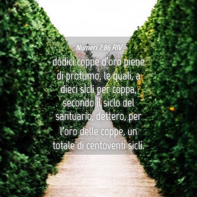 Picture 04 - Numeri 7:86 RIV - dodici coppe d’oro piene di profumo, le quali, - Bible Verse Picture