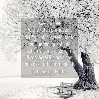 Picture 04 - Numeri 8:17 RIV - Poiché tutti i primogeniti dei figliuoli - Bible Verse Picture