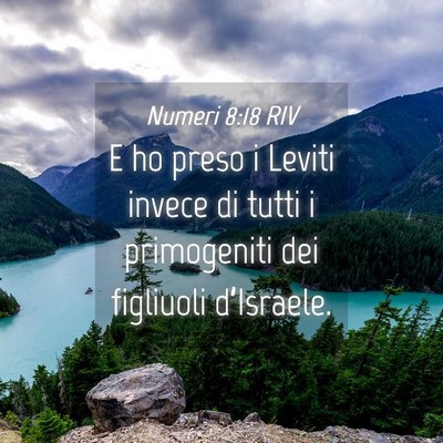 Picture 04 - Numeri 8:18 RIV - E ho preso i Leviti invece di tutti i primogeniti - Bible Verse Picture