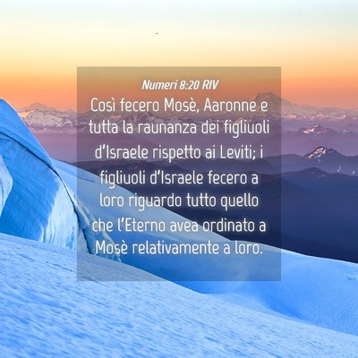 Picture 04 - Numeri 8:20 RIV - Così fecero Mosè, Aaronne e tutta la raunanza - Bible Verse Picture