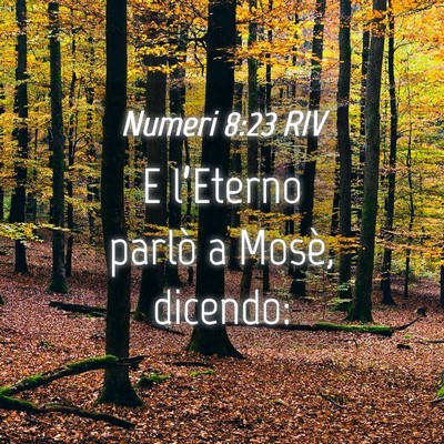 Picture 04 - Numeri 8:23 RIV - E l’Eterno parlò a Mosè, - Bible Verse Picture