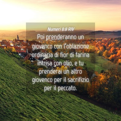 Picture 04 - Numeri 8:8 RIV - Poi prenderanno un giovenco con l’oblazione - Bible Verse Picture