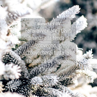 Picture 04 - Numeri 8:9 RIV - Farai avvicinare i Leviti dinanzi alla tenda di - Bible Verse Picture