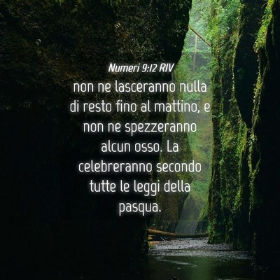 Picture 04 - Numeri 9:12 RIV - non ne lasceranno nulla di resto fino al mattino, - Bible Verse Picture