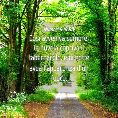Picture 04 - Numeri 9:16 RIV - Così avveniva sempre: la nuvola copriva il - Bible Verse Picture