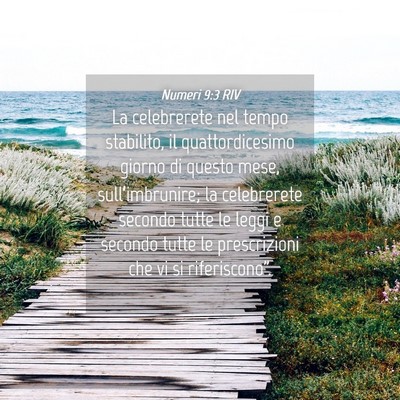 Picture 04 - Numeri 9:3 RIV - La celebrerete nel tempo stabilito, il - Bible Verse Picture