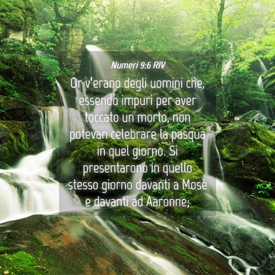 Picture 04 - Numeri 9:6 RIV - Or v’erano degli uomini che, essendo impuri per - Bible Verse Picture