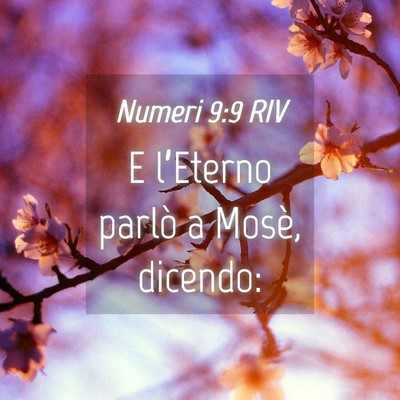 Picture 04 - Numeri 9:9 RIV - E l’Eterno parlò a Mosè, - Bible Verse Picture