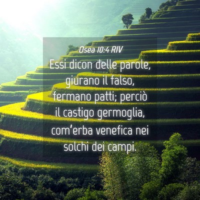 Picture 04 - Osea 10:4 RIV - Essi dicon delle parole, giurano il falso, - Bible Verse Picture