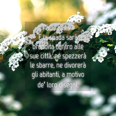 Picture 04 - Osea 11:6 RIV - E la spada sarà brandita contro alle sue città, - Bible Verse Picture