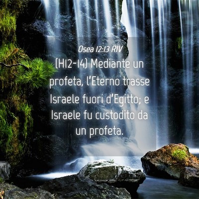 Picture 04 - Osea 12:13 RIV - (H12-14) Mediante un profeta, l’Eterno trasse - Bible Verse Picture