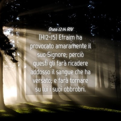 Picture 04 - Osea 12:14 RIV - (H12-15) Efraim ha provocato amaramente il suo - Bible Verse Picture