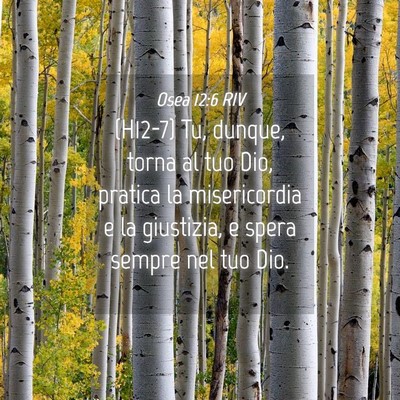 Picture 04 - Osea 12:6 RIV - (H12-7) Tu, dunque, torna al tuo Dio, pratica la - Bible Verse Picture