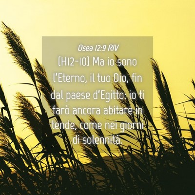 Picture 04 - Osea 12:9 RIV - (H12-10) Ma io sono l’Eterno, il tuo Dio, fin - Bible Verse Picture