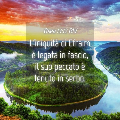 Picture 04 - Osea 13:12 RIV - L’iniquità di Efraim è legata in fascio, il - Bible Verse Picture