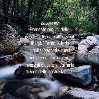 Picture 04 - Osea 14:2 RIV - Prendete con voi delle parole, e tornate - Bible Verse Picture