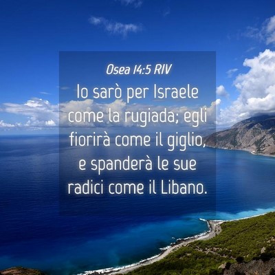 Picture 04 - Osea 14:5 RIV - Io sarò per Israele come la rugiada; egli - Bible Verse Picture