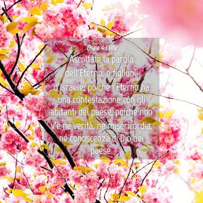 Picture 04 - Osea 4:1 RIV - Ascoltate la parola dell’Eterno, o figliuoli - Bible Verse Picture