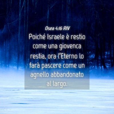 Picture 04 - Osea 4:16 RIV - Poiché Israele è restio come una giovenca - Bible Verse Picture