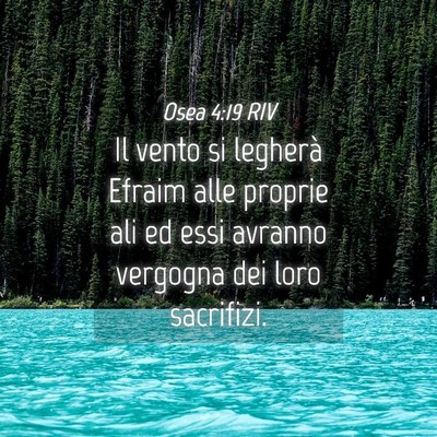 Picture 04 - Osea 4:19 RIV - Il vento si legherà Efraim alle proprie ali ed - Bible Verse Picture