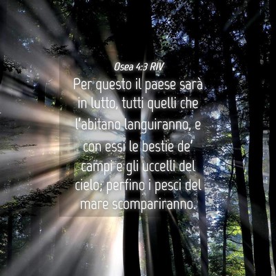 Picture 04 - Osea 4:3 RIV - Per questo il paese sarà in lutto, tutti quelli - Bible Verse Picture