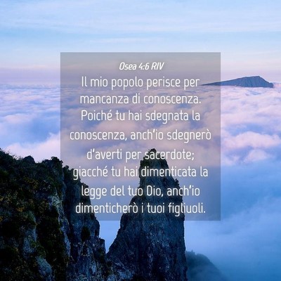 Picture 04 - Osea 4:6 RIV - Il mio popolo perisce per mancanza di conoscenza. - Bible Verse Picture