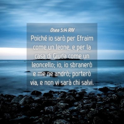 Picture 04 - Osea 5:14 RIV - Poiché io sarò per Efraim come un leone, e per - Bible Verse Picture
